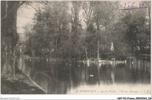 Amtp11 1079 bordeaux - -,