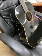 Vendo Chitarra Elettrica 12 Corde WALDEN