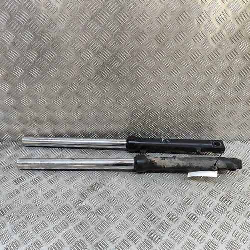 Ammortizzatore forcella