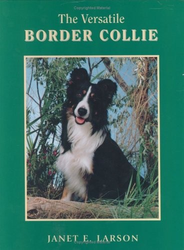 The versatile border collie - versatile,