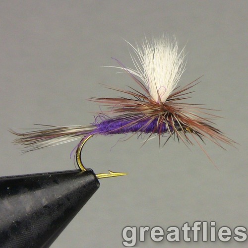 Dozzina purple haze - 1,