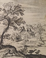 Stampa antica galle - stampa, antica.