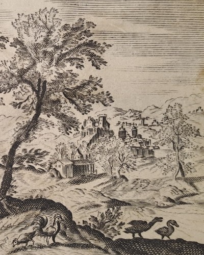 Stampa antica galle - stampa, antica.