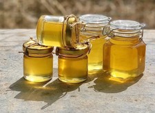 HONEY FAVORS (Honey Honig -
