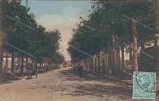 ct270 cartolina benevento citta' viale principe di napoli 1916 campania