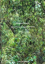 Thomas Struth - New Pictures