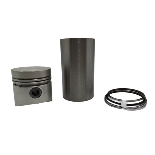 Kit pistone anello - +,