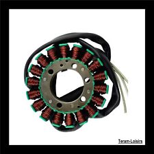 Statore Accensione Alternatore