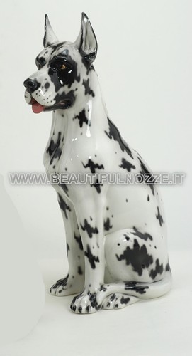 Cane alano arlecchino medio - cane,