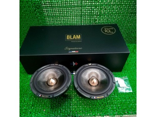 Coppia midwoofer blam 6 - ws,