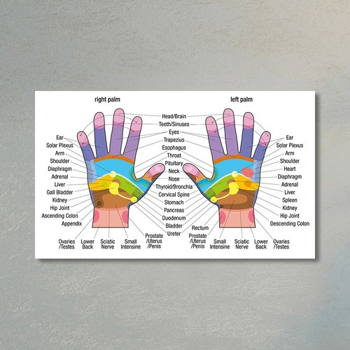 Tabella anatomica