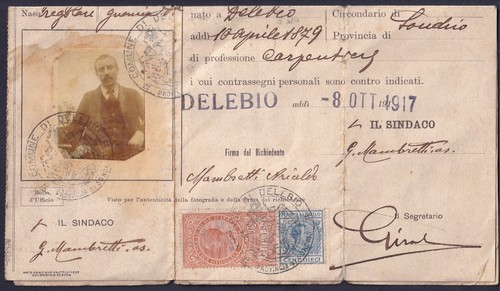 Ottobre 1917 passaporto - 8,