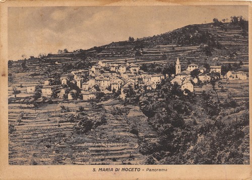 Al13 14c maria di noceto - s,
