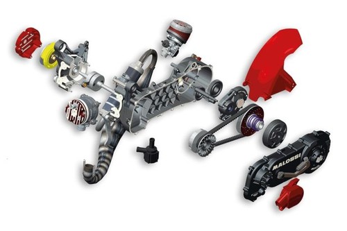 4917546 blocco motore malossi - 4917546,