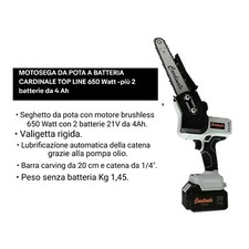 MOTOSEGA DA POTA A BATTERIA