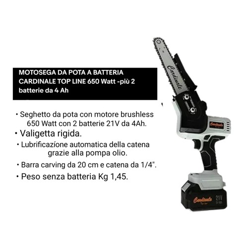 Motosega pota batteria - pota, a