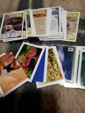 Figurine cards wwf - cards, coop