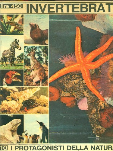 Invertebrati etologia - etologia, /