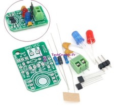 Hall magnetic sensor magnetic