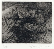 QUADRIO LANFRANCO  BOUGANVILLE