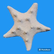 10x Gessetti Stella marina