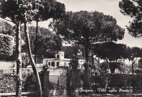 Fregene ville nella pineta - nella,