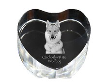 Cane Lupo Cecoslovacco cuore