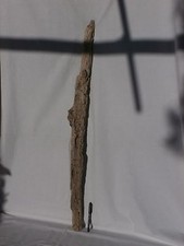 Grande legno di mare dilavato 1,01m (1551) fai da te shabby bricolage terrario  