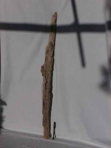 Grande legno mare - di, dilavato