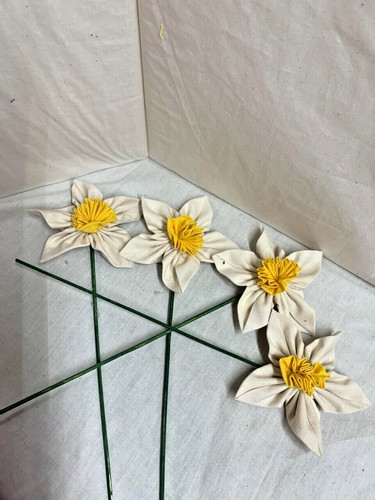 Narcisi/Fiori/Crema-Giallo/Fat