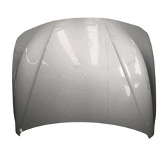 41007290944 Cofano ant. BMW