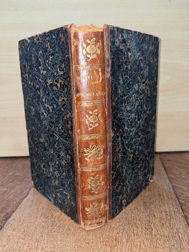 Libro antico cavaliere di - libro, il