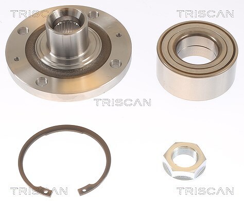 Mozzo ruota triscan asse - triscan,
