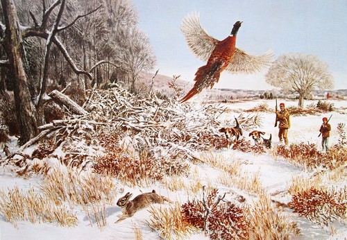 Father son beagles hunting - father,