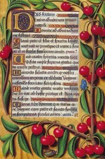 Cartolina ciliegie libro - cartolina,
