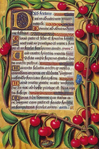 Cartolina ciliegie libro - cartolina, "ciliegie"