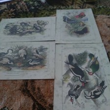 Stampe Anni 70 Rivista  AIRONE