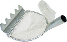 Tellinaro Gratta Cozze Grattacozze Rete Pesca Granchi