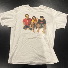 Vintage BLINK 182 White Rock