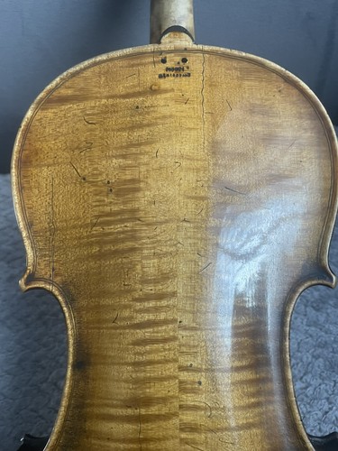 Violino piotti montevello - 4/4,