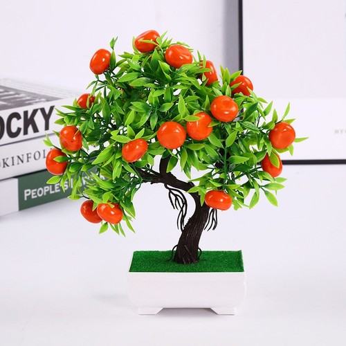 Pezzi bonsai frutta - 23,