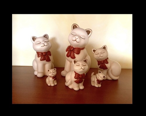 Thun serie gattini - gattini, con