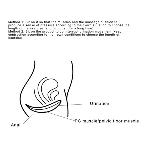 Allenatore muscolare pavimento - allenatore,