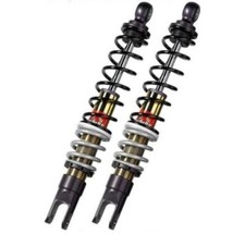 Coppia ammortizzatori