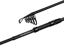 DELPHIN SCROLL TeleCARP