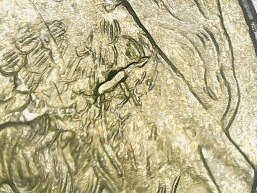 500 lire 1997 errore - 1997, eccessi