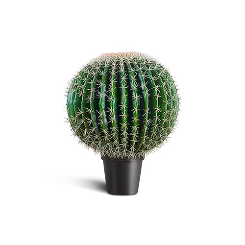 Ivoq cactus artificiale cm - ivoq, 55