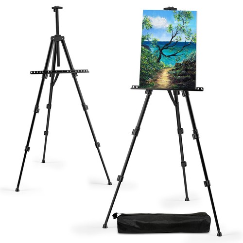 Art painting display artist - painting,
