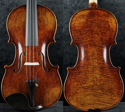 Amazing master violino - amazing,