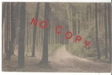 Vignola 12.8.?, Nel bosco. Inviata dalla nonna Peppina al Tenente Aldo Santi.